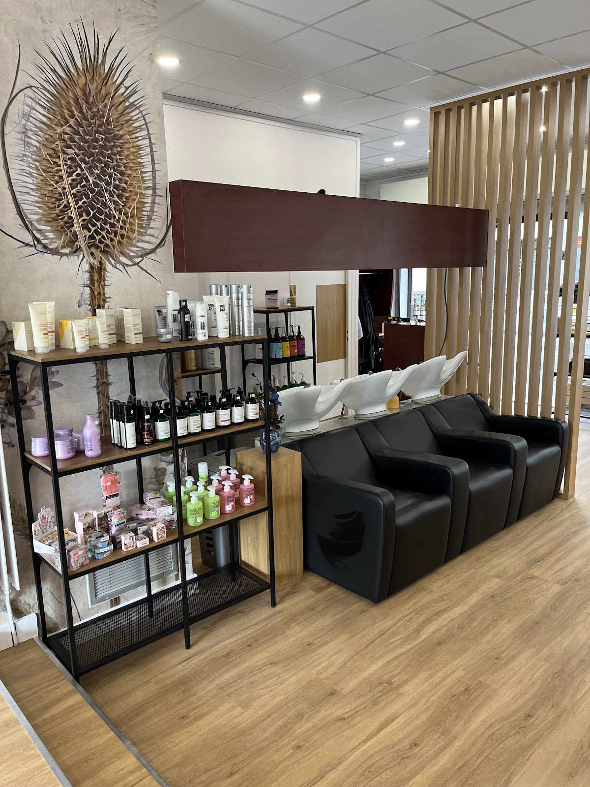 Intérieur du salon avec rayons de produits et canapé noir